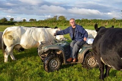Alan checking the cattle